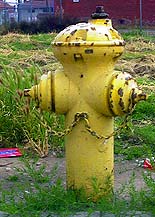 Photo of twin steamer hydrant