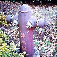 photo of Maezawa Japanese flip lid hydrant