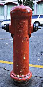 photo of Phoenix Iron Works hydrant