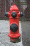 Unidentified 4-Nozzle Hydrant