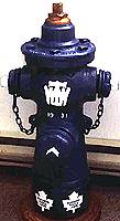 Photo of TWW hydrant