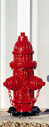 Photo of R.D. Wood Improved 2-way " fire hydrant